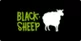 Blacksheep Campervan Rental